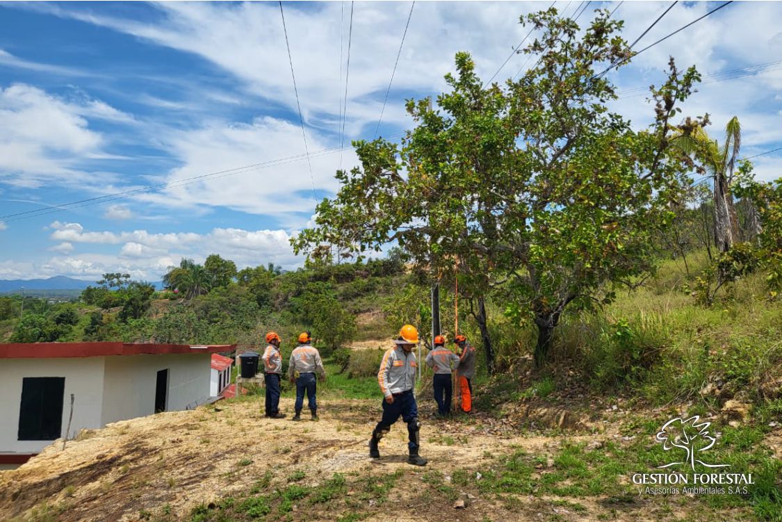 Material Site Gestion Forestal 2504